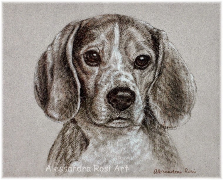 Cystom Pet Portraits Dog Drawing in sepia pencils Custom Dog Portrait in Pencils