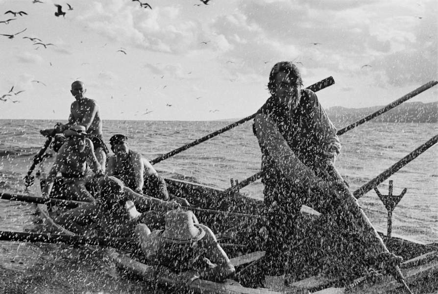 Los Grandes Fotografos: Erich Lessing (1923)