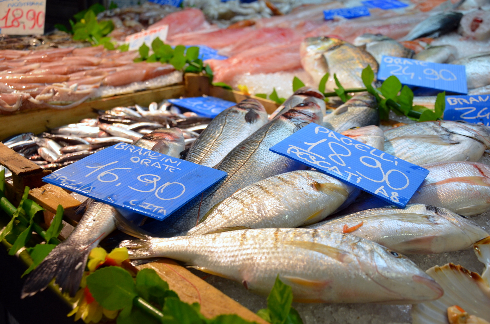 fish at the indoor oriental market in genoa italy
