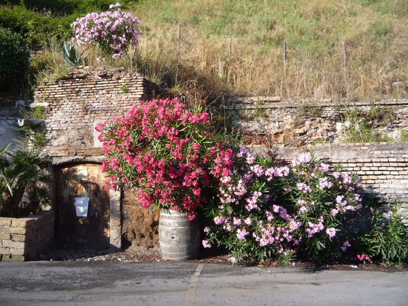 Muro de Testaccio