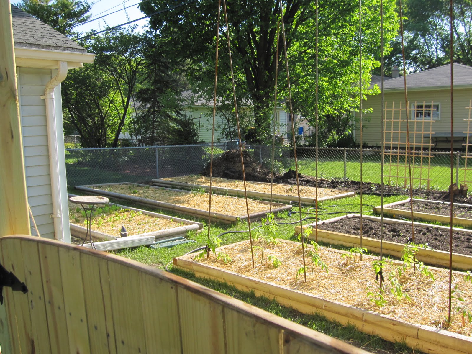Gross Farms Tomatoes, Asparagus & Mulch