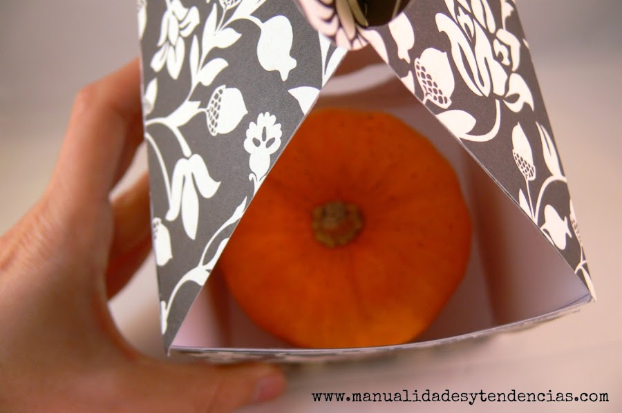 Envoltorio de regalo para mini calabaza Jack be little