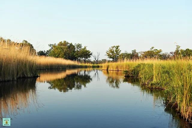 Delta del Okavango, Moremi (Botswana)