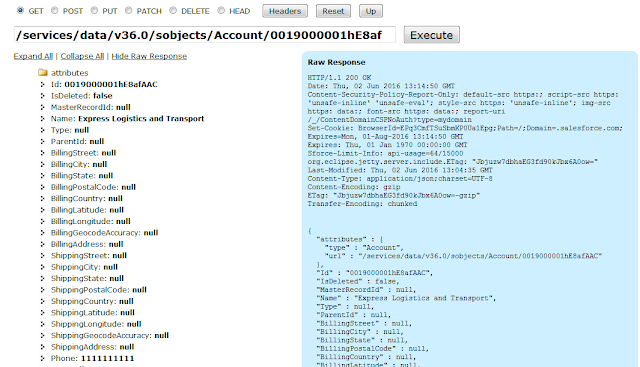 salesforce record amit delete tutorial multiple create rest developer