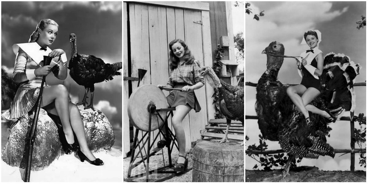16 Hilarious And Bizarre Vintage Thanksgiving Pinups