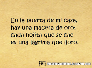 poemas de humor poemas de humor