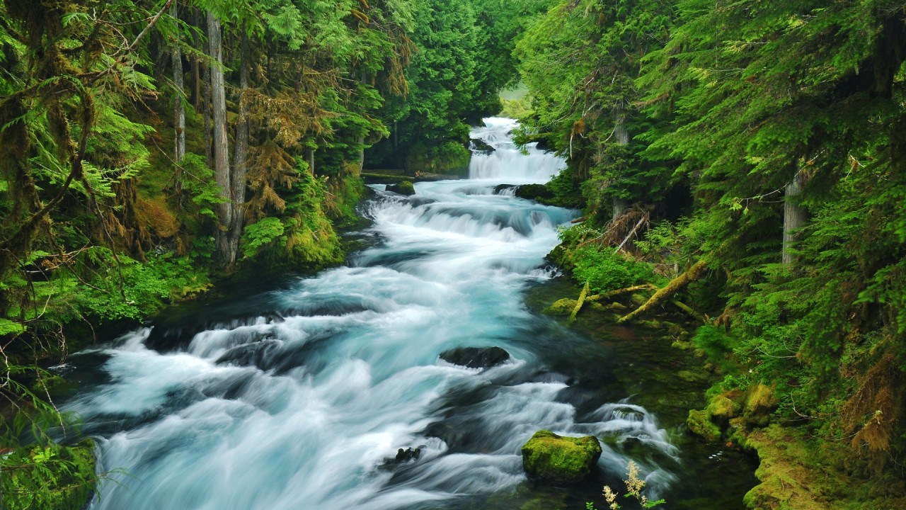 Kenampakan Alam Di Indonesia  Loker Ilmu