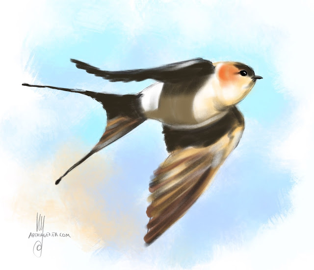 Red-rumped swallow Bird painting by Artmagenta