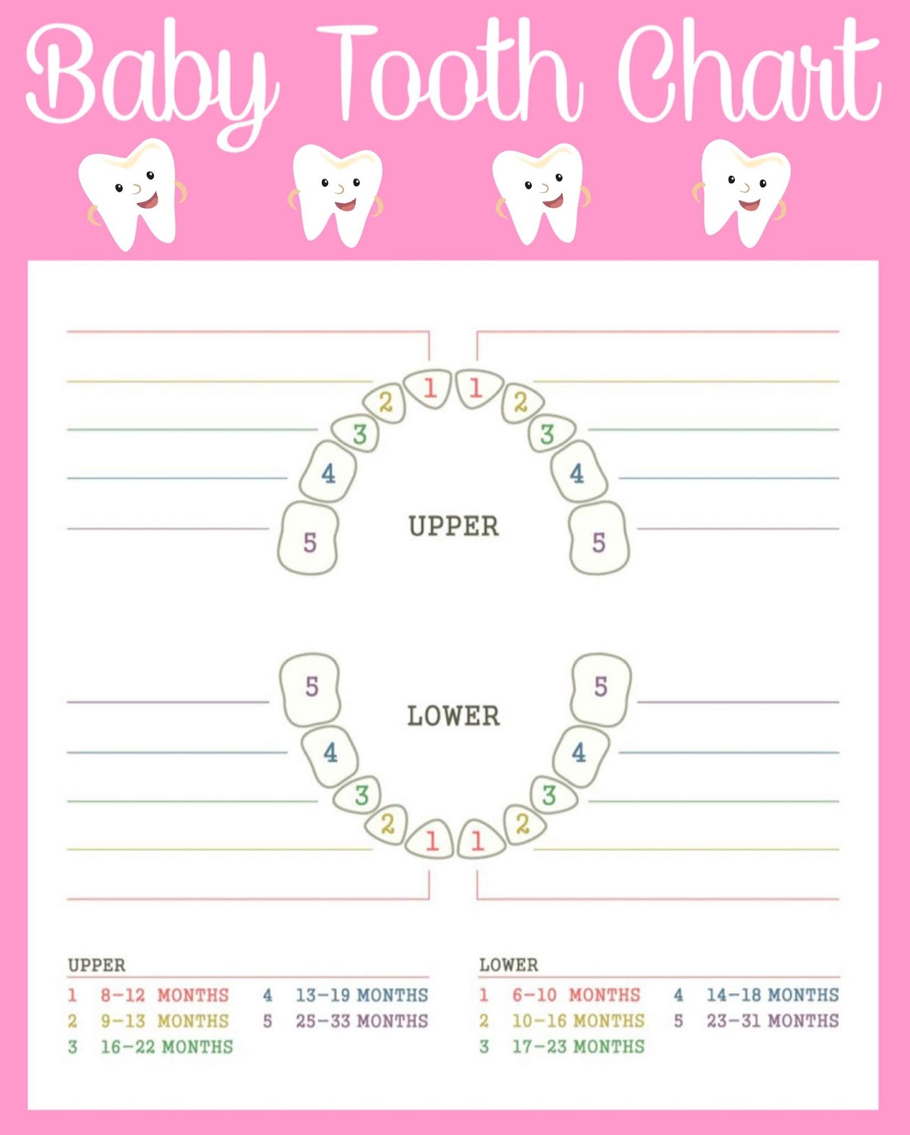 Free Printable Baby Tooth Chart