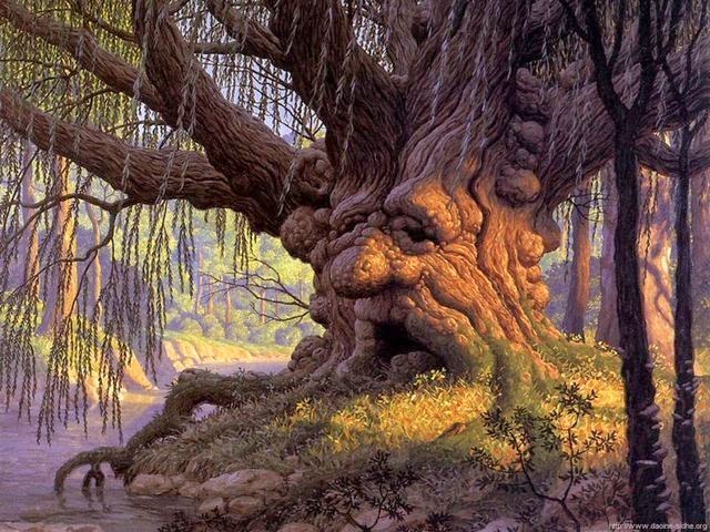 Los cuentos del árbol viejo (Ismael Contreras Carmona)