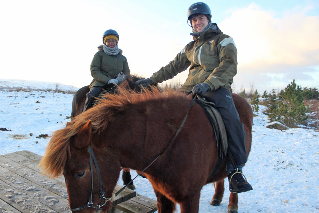 making restorations blog Icelandic ponies making restorations blog Icelandic ponies
