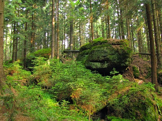 Skalne Grzyby. Skalne Grzyby.
