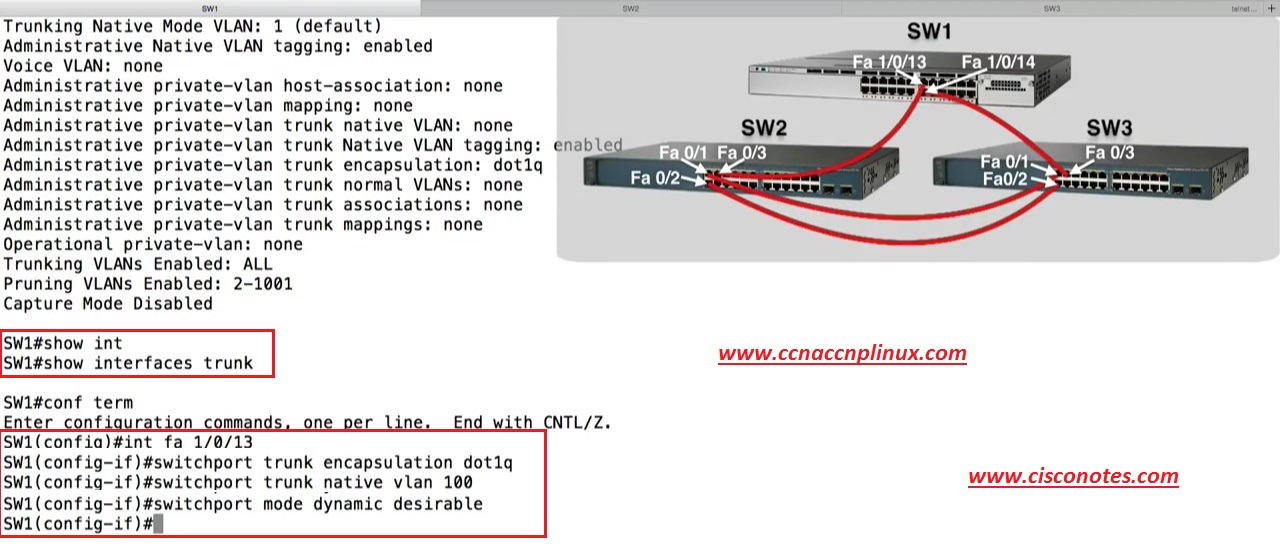 Trunking & Pruning Configuration Best Cisco CCNA CCNP and Linux