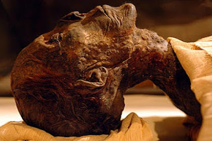 Proses Pembuatan Mumi Mesir Kuno yang Ternyata cukup Mengerikan