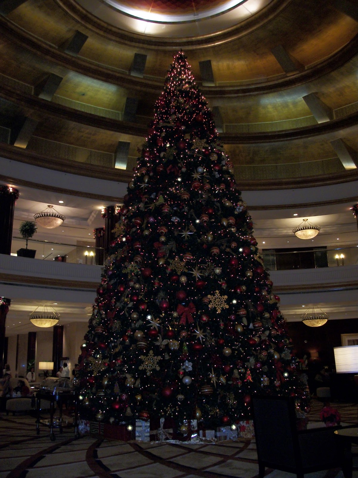 Abu Dhabi Adventures The Christmas Trees of Abu Dhabi