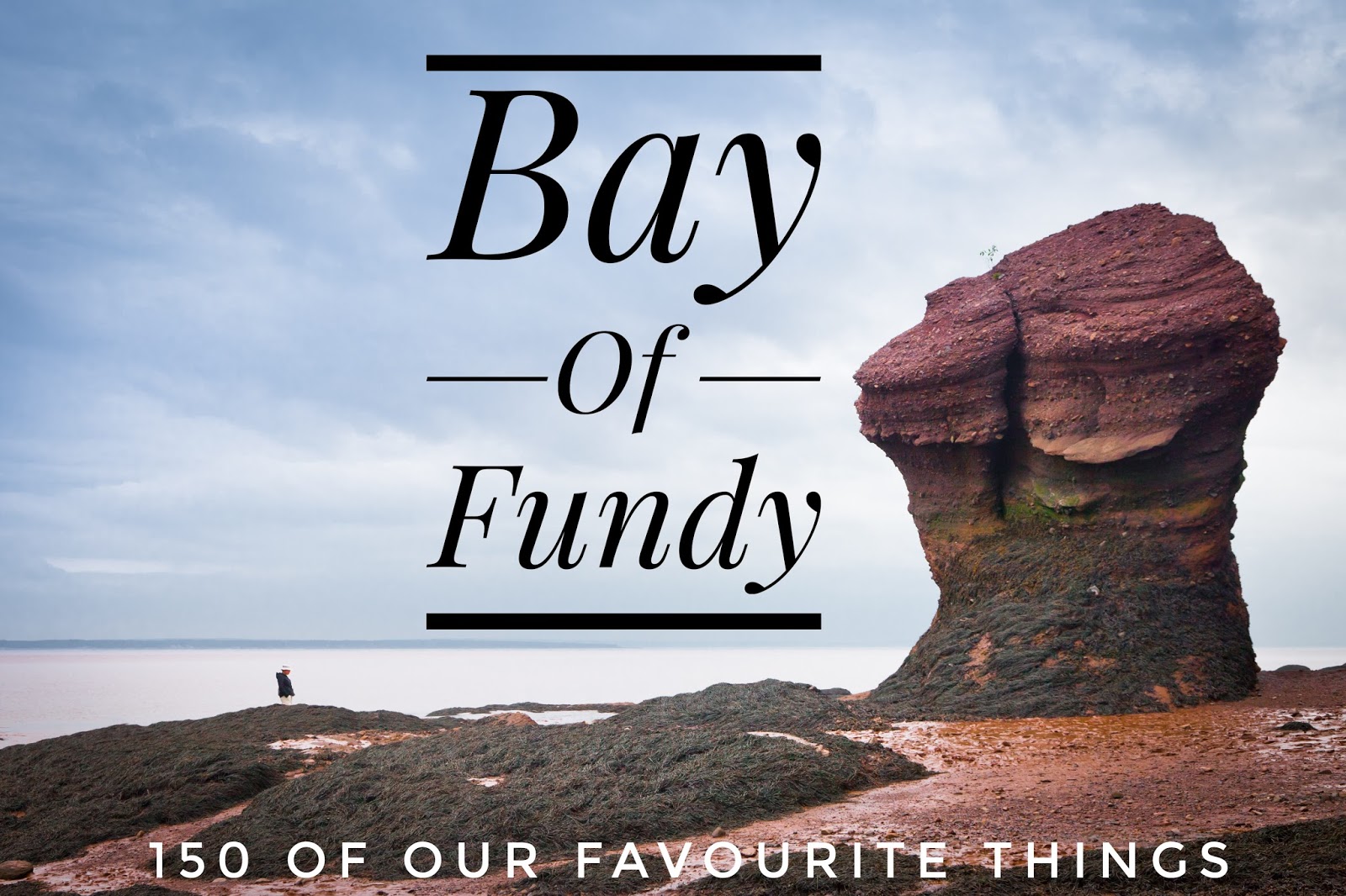 bay-of-fundy-real-man-travels