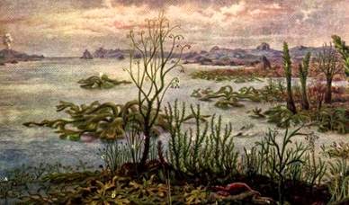 Período Siluriano (438 milhões de anos) Período Siluriano (438 milhões de anos)