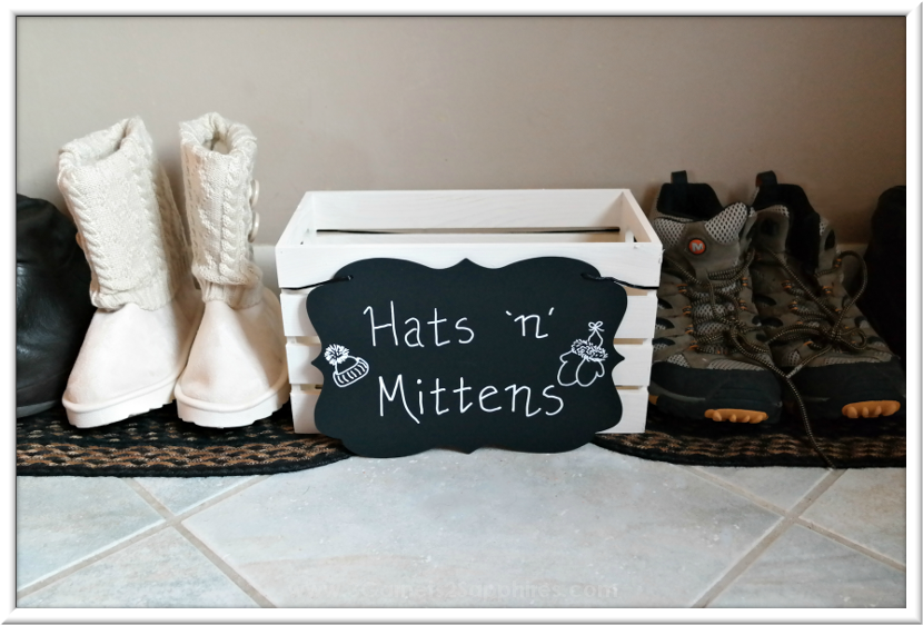 3 & 2 Sapphires Easy DIY WallMounted Shoe Organizer