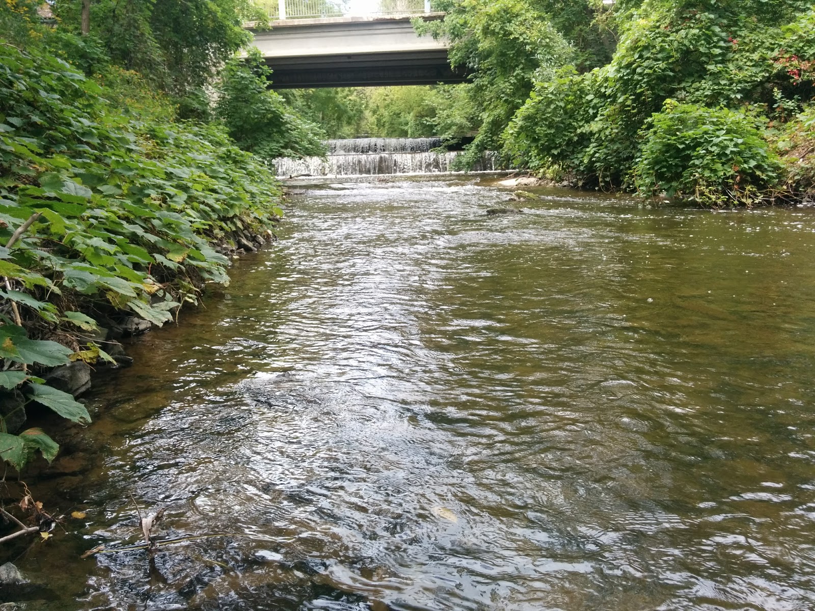 Spencer Creek Trail Photos