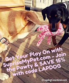 There's nothing like sisterly love and playtime! Get Your Play On with #SurpriseMyPet and SAVE 15% with #coupon code LAPDOG #JoinThePawty #ZippyPaws #FloppyJellyfish #LapdogCreations ©LapdogCreations