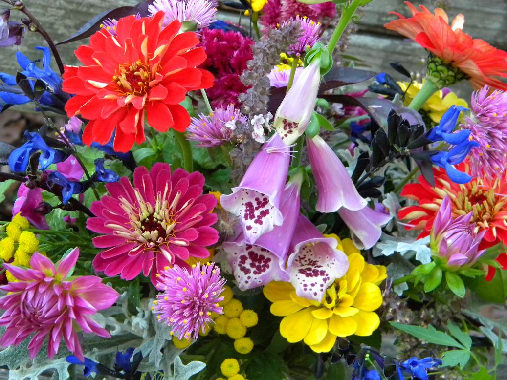 Wedding Flowers from Springwell: Autumn Treasures from the Garden ...