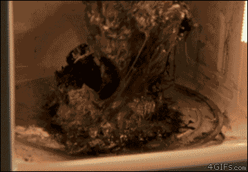 001.gif