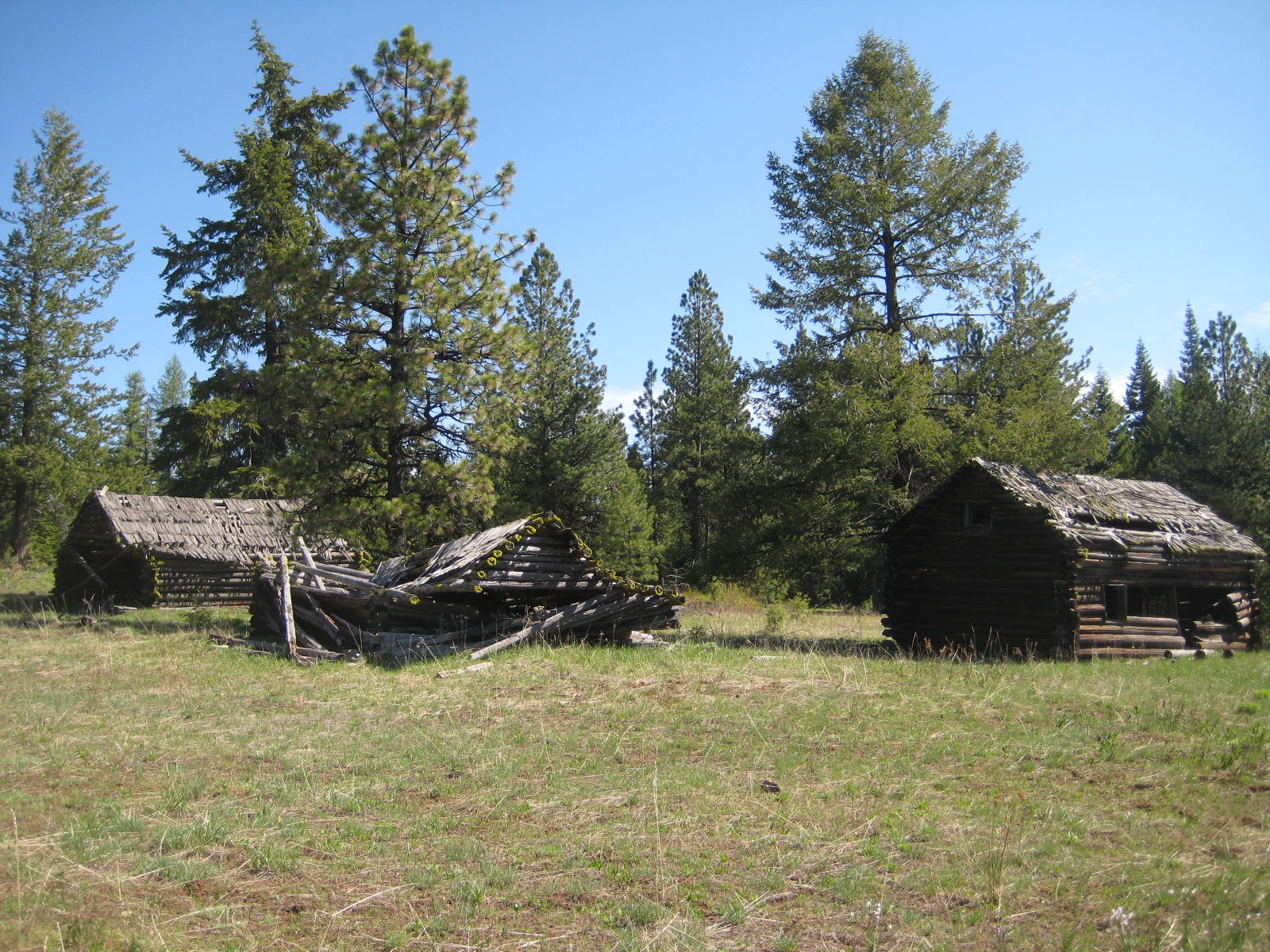 Theresa #39 s Trivia: Hiking in the Craig Mountain Wildlife Reserve Theresa #39 s Trivia: Hiking in the Craig Mountain Wildlife Reserve