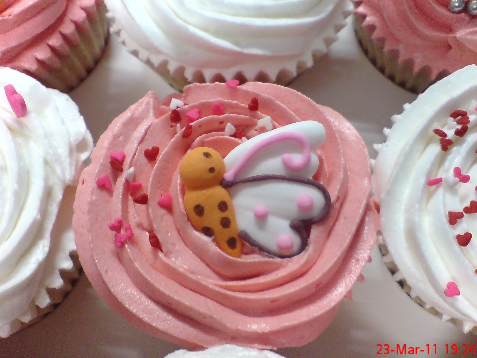 Lana Bake HousePenangHalal CUPCAKES