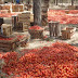 Moshi tomato growers make losses