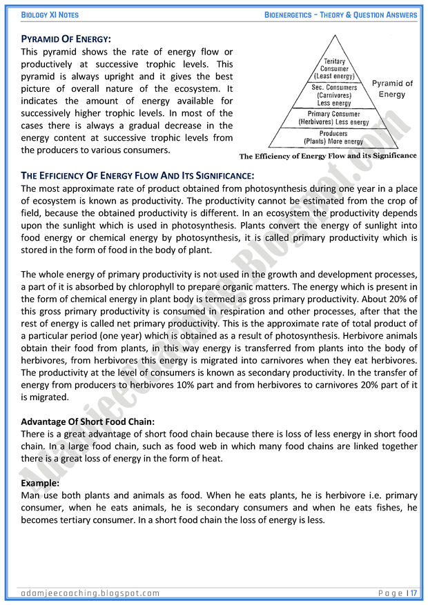 bioenergetics-descriptive-question-answers-biology-11th