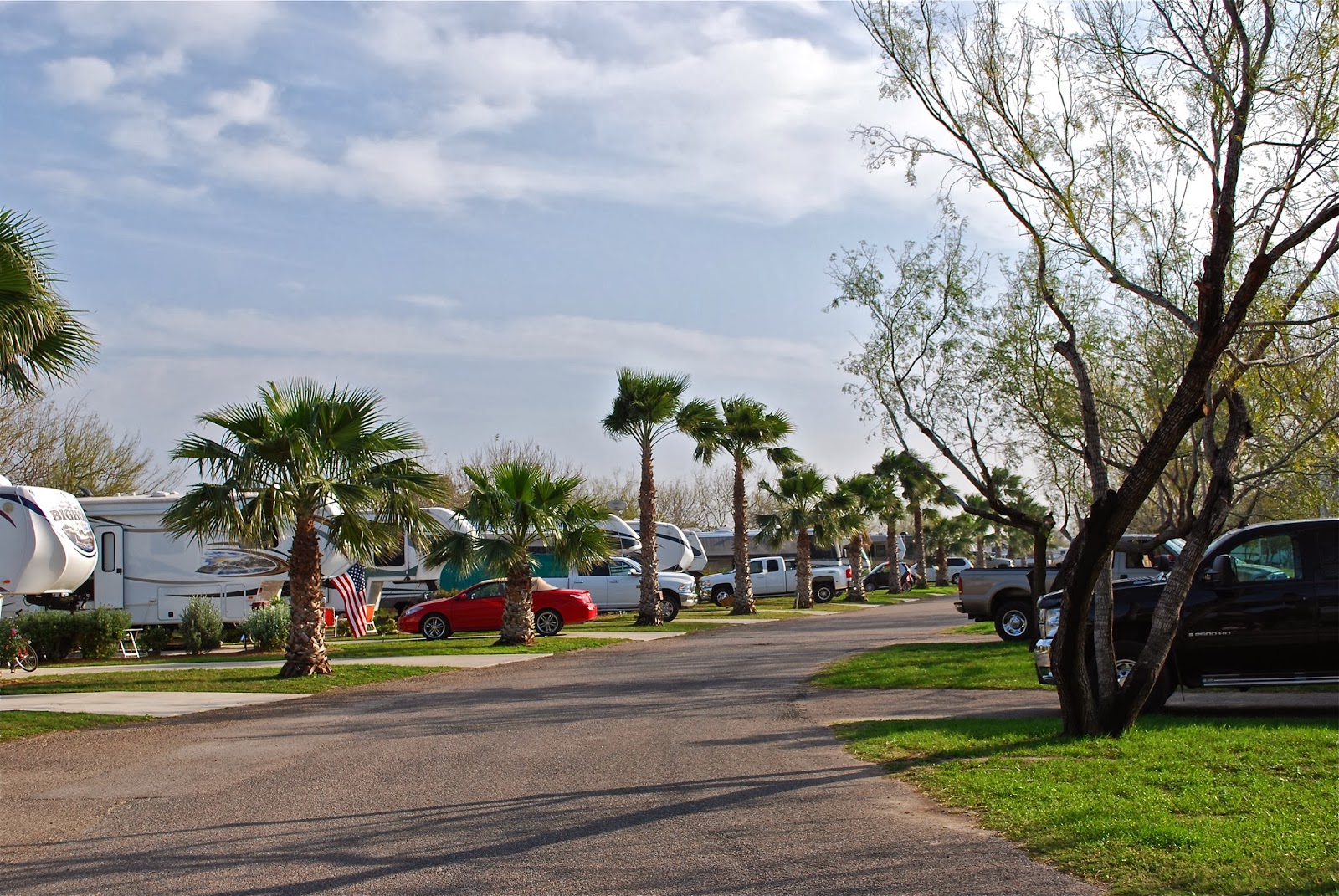 BLUE SKY AHEAD Bentsen Palm Village RV Resort, Texas