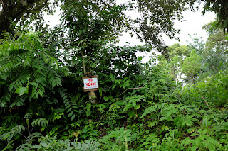 Puriscal Real Estate Puriscal Real Estate