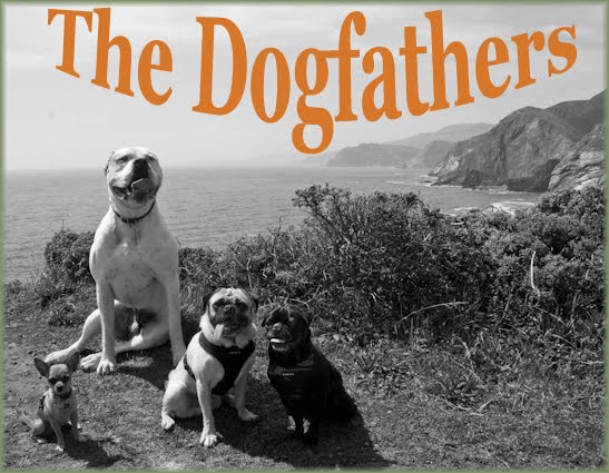 the dogfathers