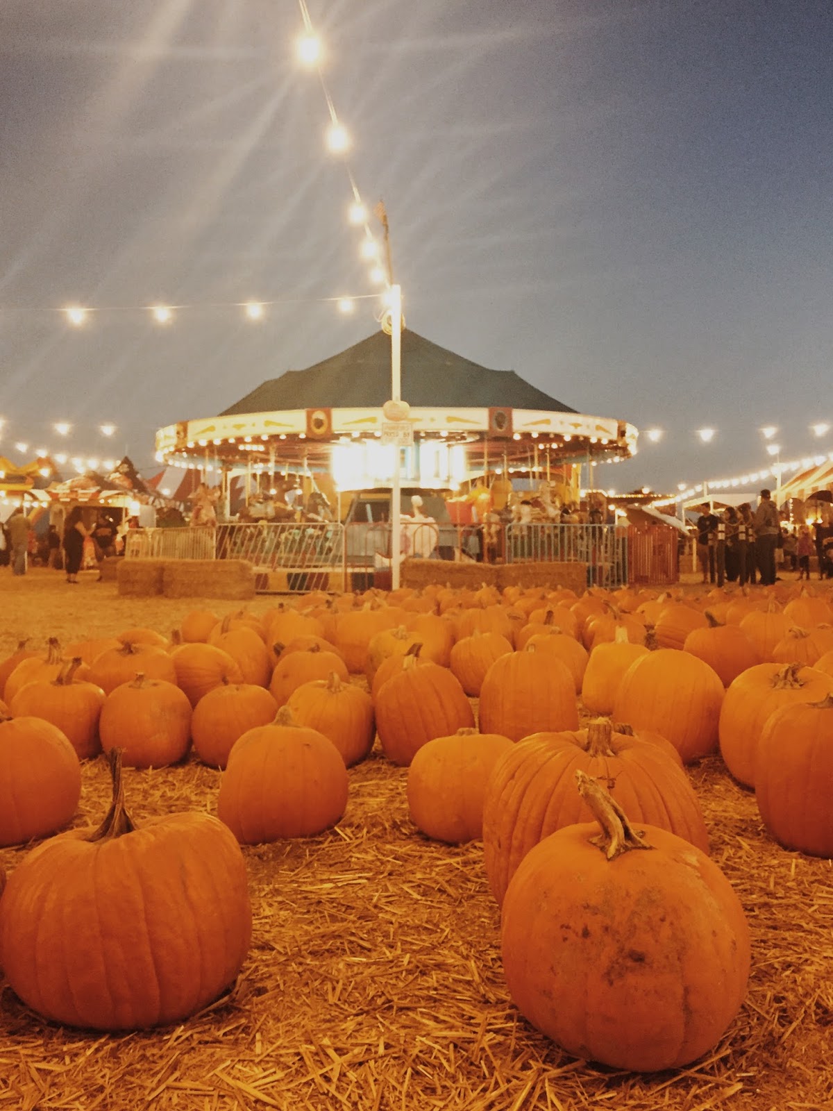Pa's Pumpkin Patch StephC