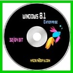 windows 8.1 enterprise 64bit