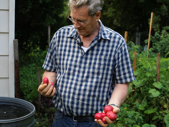 DVD & Bluray THE FOOD CURE (2018) Documentary The Entertainment