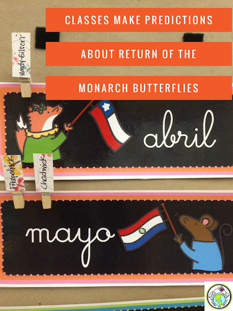 Tracking the Monarch butterfly migration in Spanish class