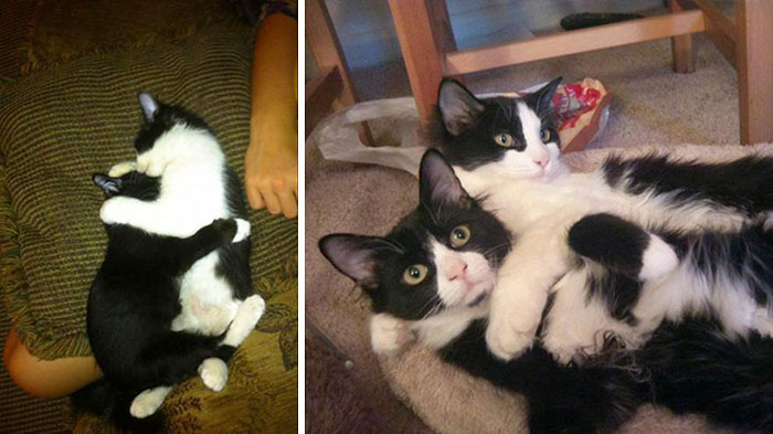 50 Heart-Warming Photos of Animals Growing Up Together - 12 Months Apart 50 Heart-Warming Photos of Animals Growing Up Together - 12 Months Apart