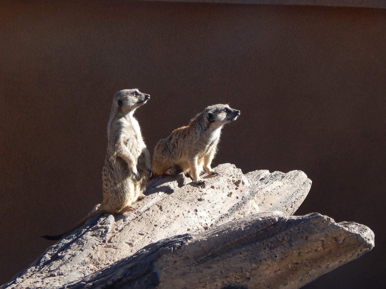 Heroes, Heroines, and History Cheyenne Mountain Zoo America's only