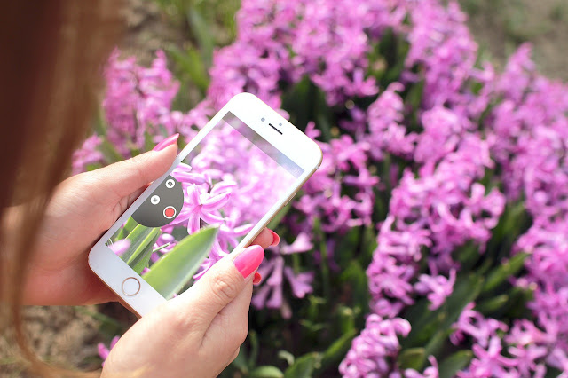 Cómo tomar fotos excelentes para tu
tienda en línea Cómo tomar fotos excelentes para tu tienda en línea