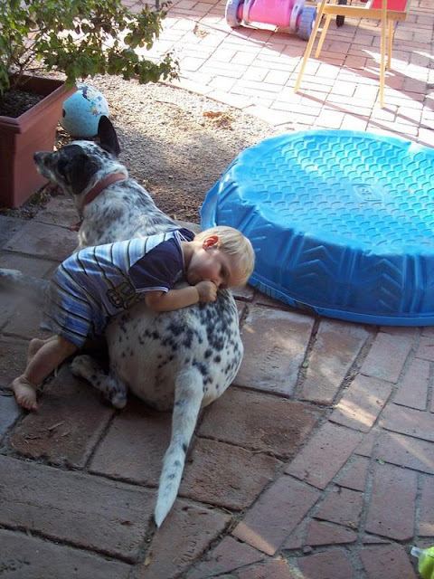 20 khoảnh khắc đáng yêu về tình bạn của các chú chó dành cho con trẻ