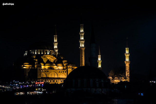 Estambul - Recuerdo de Constantinopla - Blogs de Turquia - Crucero por el Bósforo y la noche turca (5)