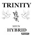 Shun Hybrid - Trinity
