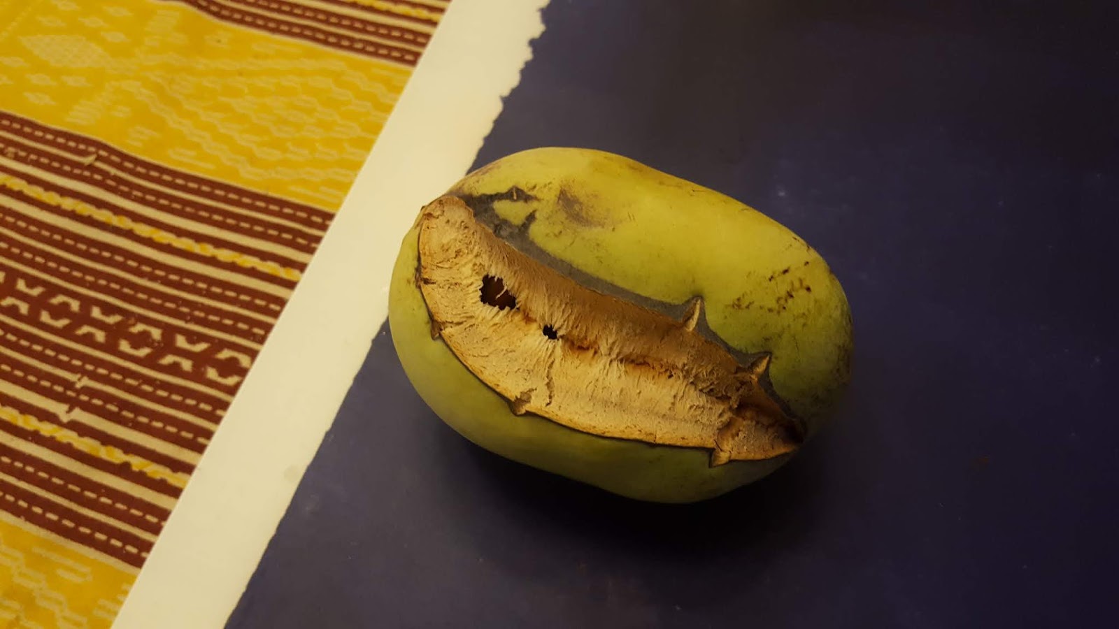 Expatriate Pawpaw First Pawpaw of the Year A Pawpaw Split