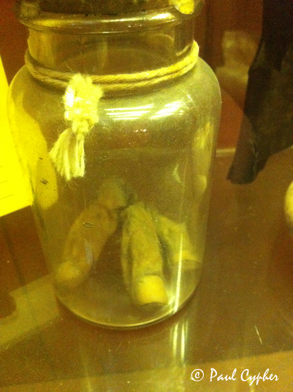 Birds Brews and Blither April 2012