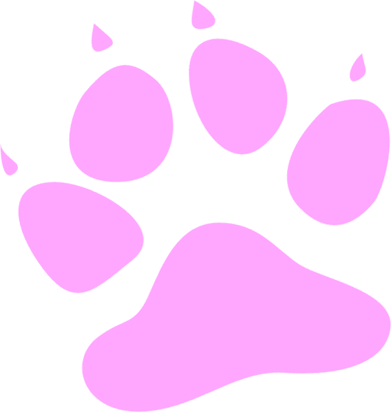 Dog Cat Shelter Claremont Road Dog Cat Shelter Claremont Road