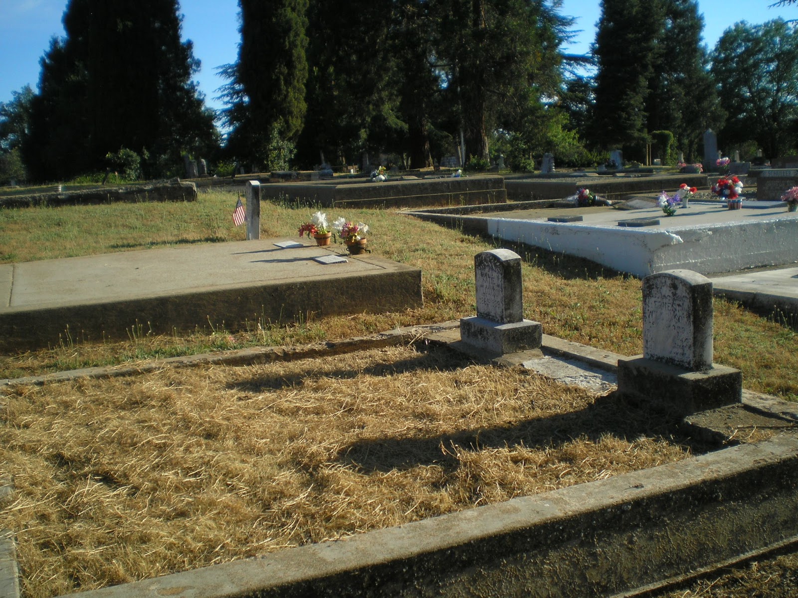 The Road Genealogist Two Carter Cemetery Plots