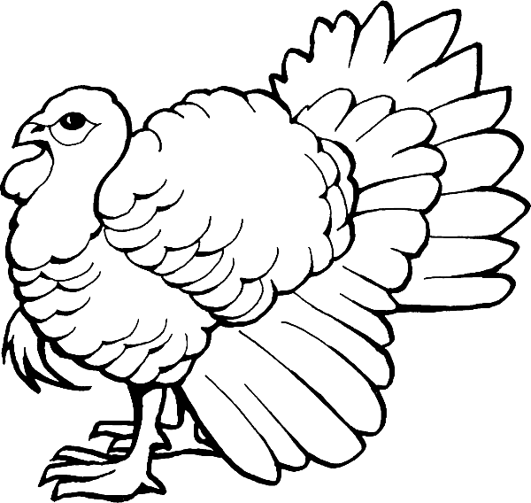 turkey coloring pages coloring.filminspector.com