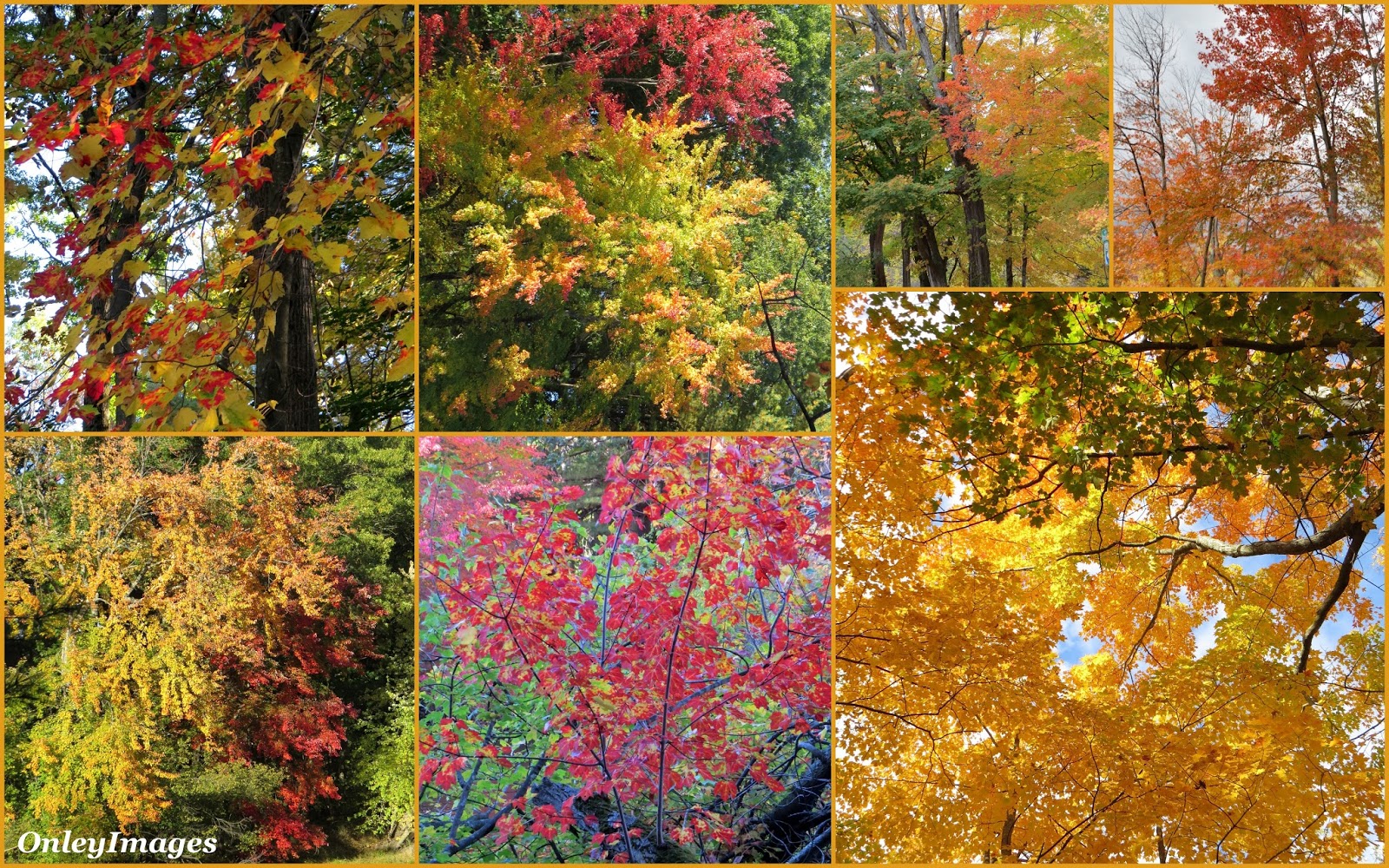 Nature S Pathways Nashua Nh Nature S Pathways Nashua Nh