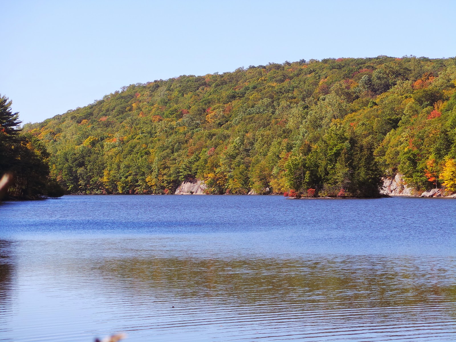 New Jersey and You Perfect Together, Liberty and